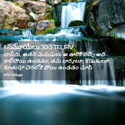 Picture 02 - 1 సమూయేలు 30:3 TELIRV - దావీదు, అతని - Bible Verse Picture