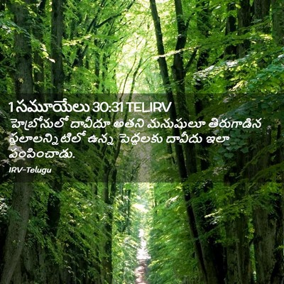 Picture 02 - 1 సమూయేలు 30:31 TELIRV - హెబ్రోనులో దావీదూ - Bible Verse Picture