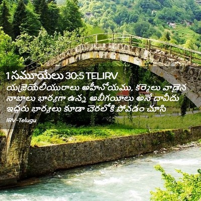 Picture 02 - 1 సమూయేలు 30:5 TELIRV - యజ్రెయేలీయురాలు - Bible Verse Picture