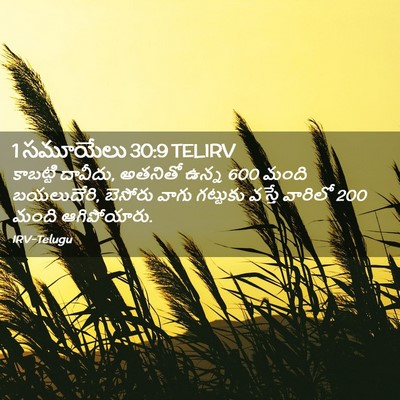 Picture 02 - 1 సమూయేలు 30:9 TELIRV - కాబట్టి దావీదు, - Bible Verse Picture