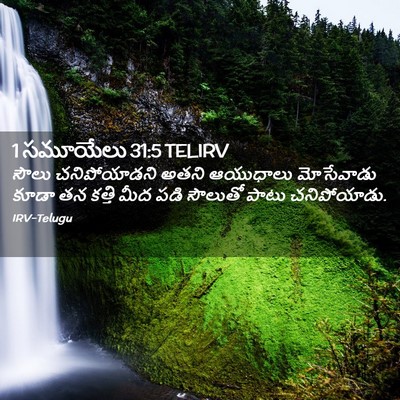 Picture 02 - 1 సమూయేలు 31:5 TELIRV - సౌలు చనిపోయాడని - Bible Verse Picture