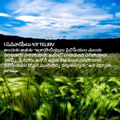 Picture 02 - 1 సమూయేలు 4:17 TELIRV - అందుకు అతడు - Bible Verse Picture