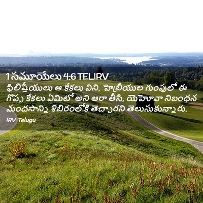 Picture 02 - 1 సమూయేలు 4:6 TELIRV - ఫిలిష్తీయులు ఆ - Bible Verse Picture