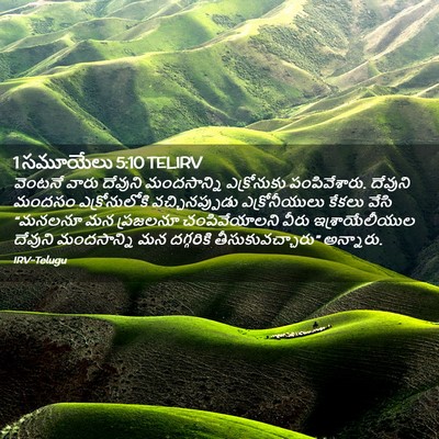 Picture 02 - 1 సమూయేలు 5:10 TELIRV - వెంటనే వారు - Bible Verse Picture