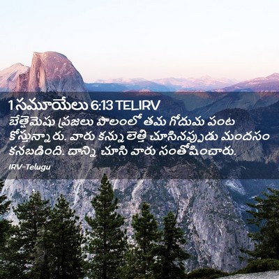 Picture 02 - 1 సమూయేలు 6:13 TELIRV - బేత్షెమెషు ప్రజలు - Bible Verse Picture