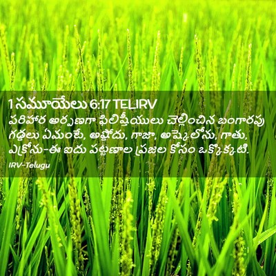 Picture 02 - 1 సమూయేలు 6:17 TELIRV - పరిహార అర్పణగా - Bible Verse Picture