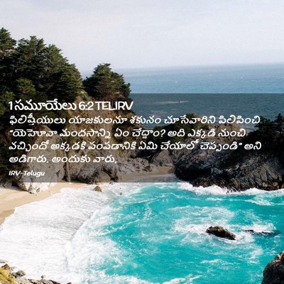 Picture 02 - 1 సమూయేలు 6:2 TELIRV - ఫిలిష్తీయులు - Bible Verse Picture