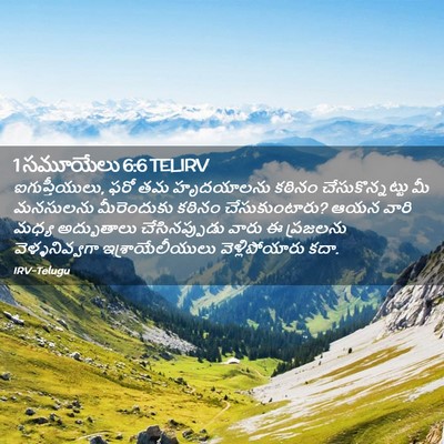 Picture 02 - 1 సమూయేలు 6:6 TELIRV - ఐగుప్తీయులు, ఫరో - Bible Verse Picture