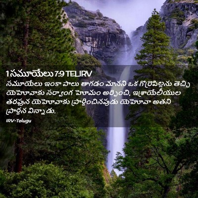 Picture 02 - 1 సమూయేలు 7:9 TELIRV - సమూయేలు ఇంకా పాలు - Bible Verse Picture