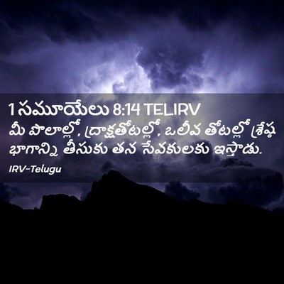 Picture 02 - 1 సమూయేలు 8:14 TELIRV - మీ పొలాల్లో, - Bible Verse Picture