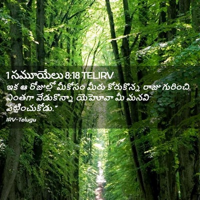 Picture 02 - 1 సమూయేలు 8:18 TELIRV - ఇక ఆ రోజుల్లో - Bible Verse Picture