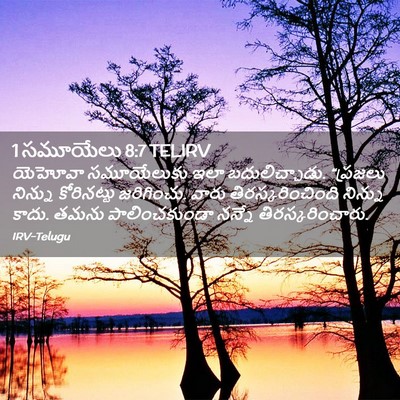 Picture 02 - 1 సమూయేలు 8:7 TELIRV - యెహోవా సమూయేలుకు - Bible Verse Picture