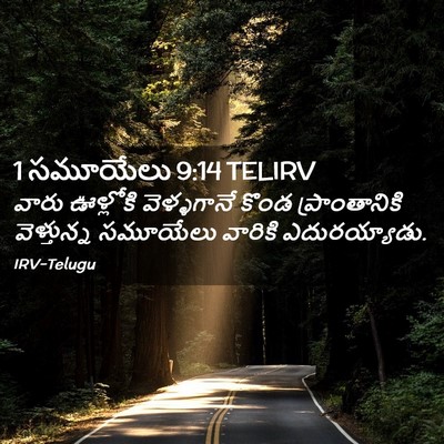 Picture 02 - 1 సమూయేలు 9:14 TELIRV - వారు ఊళ్లోకి - Bible Verse Picture