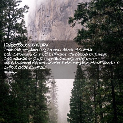 Picture 02 - 1 సమూయేలు 9:16 TELIRV - ఎందుకంటే “నా - Bible Verse Picture