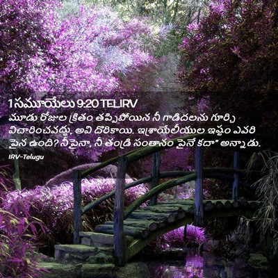 Picture 02 - 1 సమూయేలు 9:20 TELIRV - మూడు రోజుల క్రితం - Bible Verse Picture
