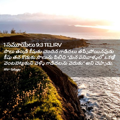 Picture 02 - 1 సమూయేలు 9:3 TELIRV - సౌలు తండ్రి - Bible Verse Picture