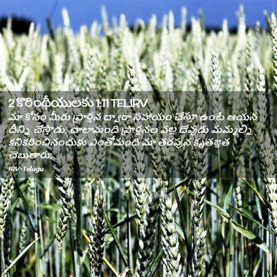 Picture 02 - 2 కొరింథీయులకు 1:11 TELIRV - మా కోసం మీరు - Bible Verse Picture