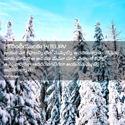 Picture 02 - 2 కొరింథీయులకు 1:4 TELIRV - ఆయన మా - Bible Verse Picture