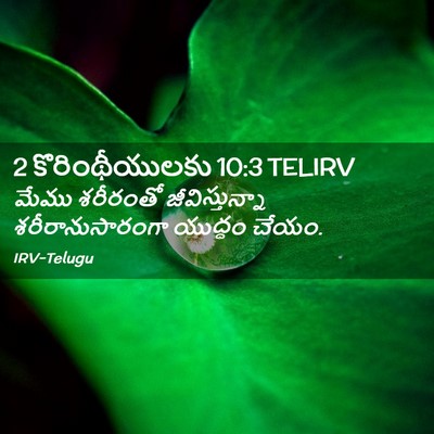 Picture 02 - 2 కొరింథీయులకు 10:3 TELIRV - మేము శరీరంతో - Bible Verse Picture