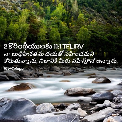 Picture 02 - 2 కొరింథీయులకు 11:1 TELIRV - నా బుద్దిహీనతను - Bible Verse Picture