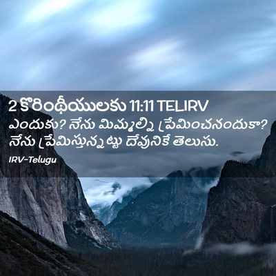 Picture 02 - 2 కొరింథీయులకు 11:11 TELIRV - ఎందుకు? నేను - Bible Verse Picture