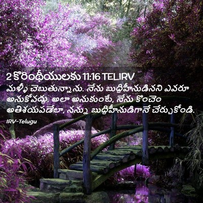 Picture 02 - 2 కొరింథీయులకు 11:16 TELIRV - మళ్ళీ - Bible Verse Picture