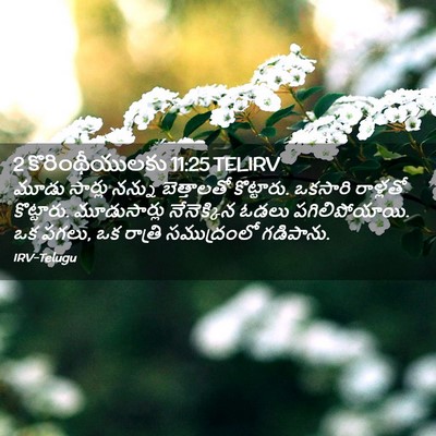 Picture 02 - 2 కొరింథీయులకు 11:25 TELIRV - మూడు సార్లు నన్ను - Bible Verse Picture