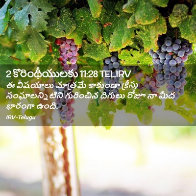 Picture 02 - 2 కొరింథీయులకు 11:28 TELIRV - ఈ విషయాలు మాత్రమే - Bible Verse Picture