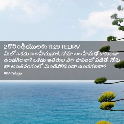 Picture 02 - 2 కొరింథీయులకు 11:29 TELIRV - మీలో ఒకడు - Bible Verse Picture