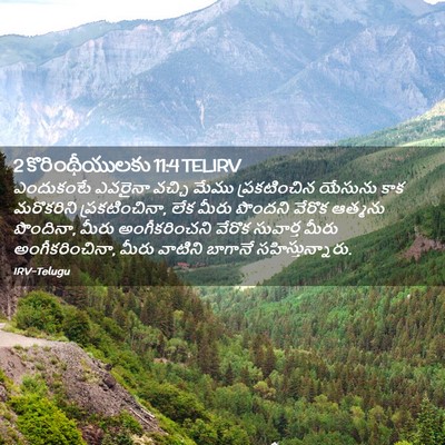 Picture 02 - 2 కొరింథీయులకు 11:4 TELIRV - ఎందుకంటే ఎవరైనా - Bible Verse Picture