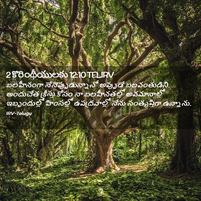 Picture 02 - 2 కొరింథీయులకు 12:10 TELIRV - బలహీనంగా - Bible Verse Picture