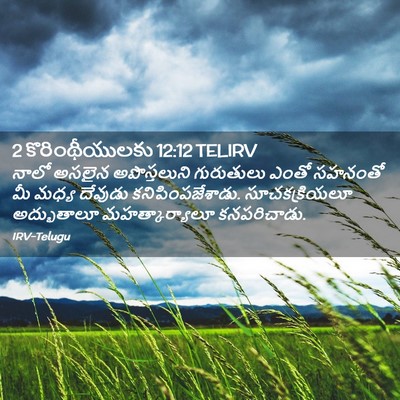 Picture 02 - 2 కొరింథీయులకు 12:12 TELIRV - నాలో అసలైన - Bible Verse Picture