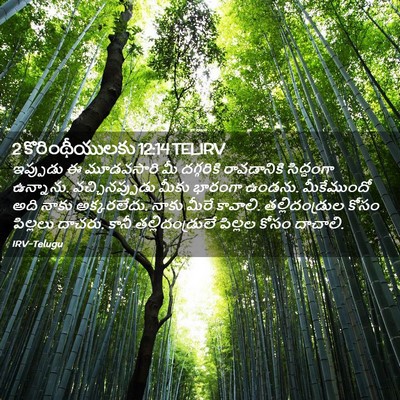 Picture 02 - 2 కొరింథీయులకు 12:14 TELIRV - ఇప్పుడు ఈ - Bible Verse Picture