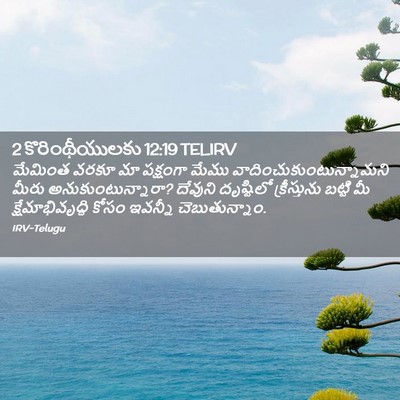 Picture 02 - 2 కొరింథీయులకు 12:19 TELIRV - మేమింత వరకూ మా - Bible Verse Picture