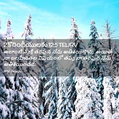 Picture 02 - 2 కొరింథీయులకు 12:5 TELIRV - అలాంటి వ్యక్తి - Bible Verse Picture