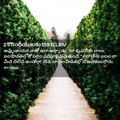 Picture 02 - 2 కొరింథీయులకు 12:9 TELIRV - అప్పుడాయన నాతో - Bible Verse Picture