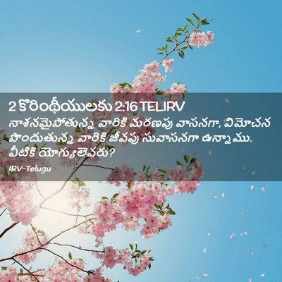 Picture 02 - 2 కొరింథీయులకు 2:16 TELIRV - నాశనమైపోతున్న - Bible Verse Picture
