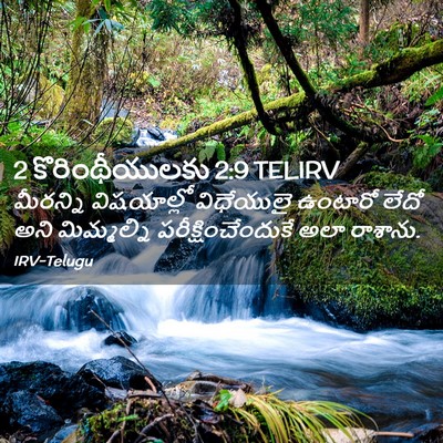 Picture 02 - 2 కొరింథీయులకు 2:9 TELIRV - మీరన్ని విషయాల్లో - Bible Verse Picture