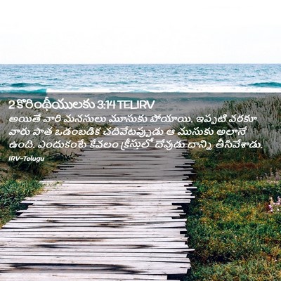 Picture 02 - 2 కొరింథీయులకు 3:14 TELIRV - అయితే వారి మనసులు - Bible Verse Picture