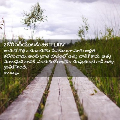 Picture 02 - 2 కొరింథీయులకు 3:6 TELIRV - ఆయనే కొత్త - Bible Verse Picture