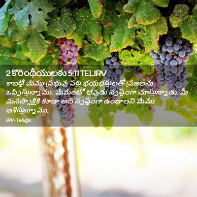 Picture 02 - 2 కొరింథీయులకు 5:11 TELIRV - కాబట్టి మేము - Bible Verse Picture