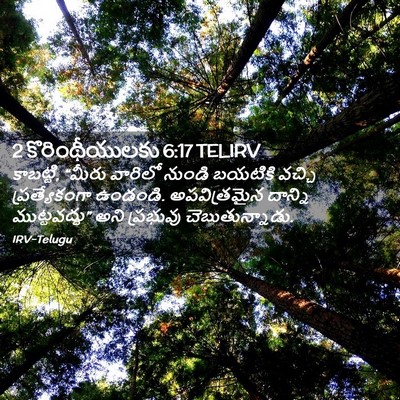 Picture 02 - 2 కొరింథీయులకు 6:17 TELIRV - కాబట్టి, “మీరు - Bible Verse Picture
