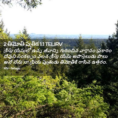 Picture 02 - 2 తిమోతి పత్రిక 1:1 TELIRV - క్రీస్తు యేసులో - Bible Verse Picture