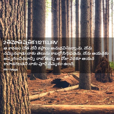 Picture 02 - 2 తిమోతి పత్రిక 1:12 TELIRV - ఆ కారణం చేత నేనీ - Bible Verse Picture