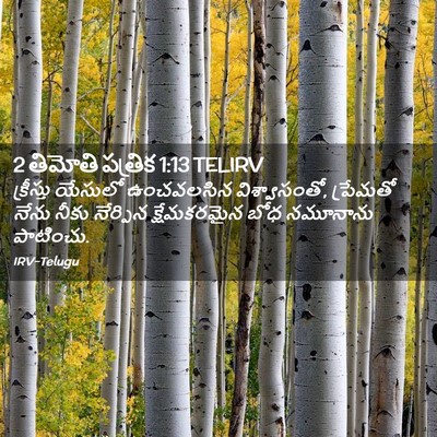 Picture 02 - 2 తిమోతి పత్రిక 1:13 TELIRV - క్రీస్తు యేసులో - Bible Verse Picture