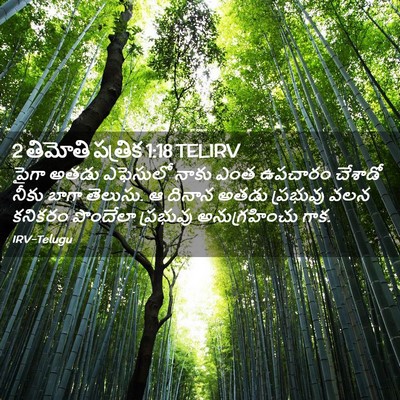 Picture 02 - 2 తిమోతి పత్రిక 1:18 TELIRV - పైగా అతడు ఎఫెసులో - Bible Verse Picture