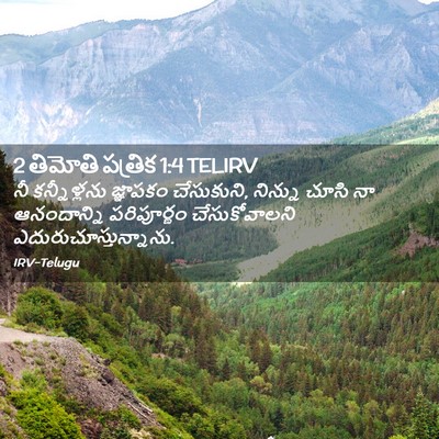 Picture 02 - 2 తిమోతి పత్రిక 1:4 TELIRV - నీ కన్నీళ్లను - Bible Verse Picture