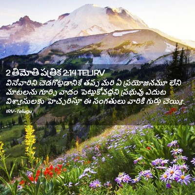 Picture 02 - 2 తిమోతి పత్రిక 2:14 TELIRV - వినేవారిని - Bible Verse Picture