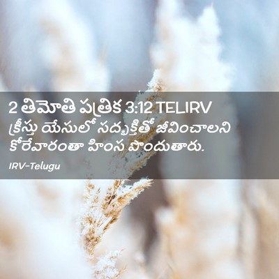 Picture 02 - 2 తిమోతి పత్రిక 3:12 TELIRV - క్రీస్తు యేసులో - Bible Verse Picture