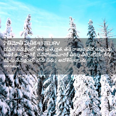 Picture 02 - 2 తిమోతి పత్రిక 4:1 TELIRV - దేవుని సమక్షంలో, - Bible Verse Picture